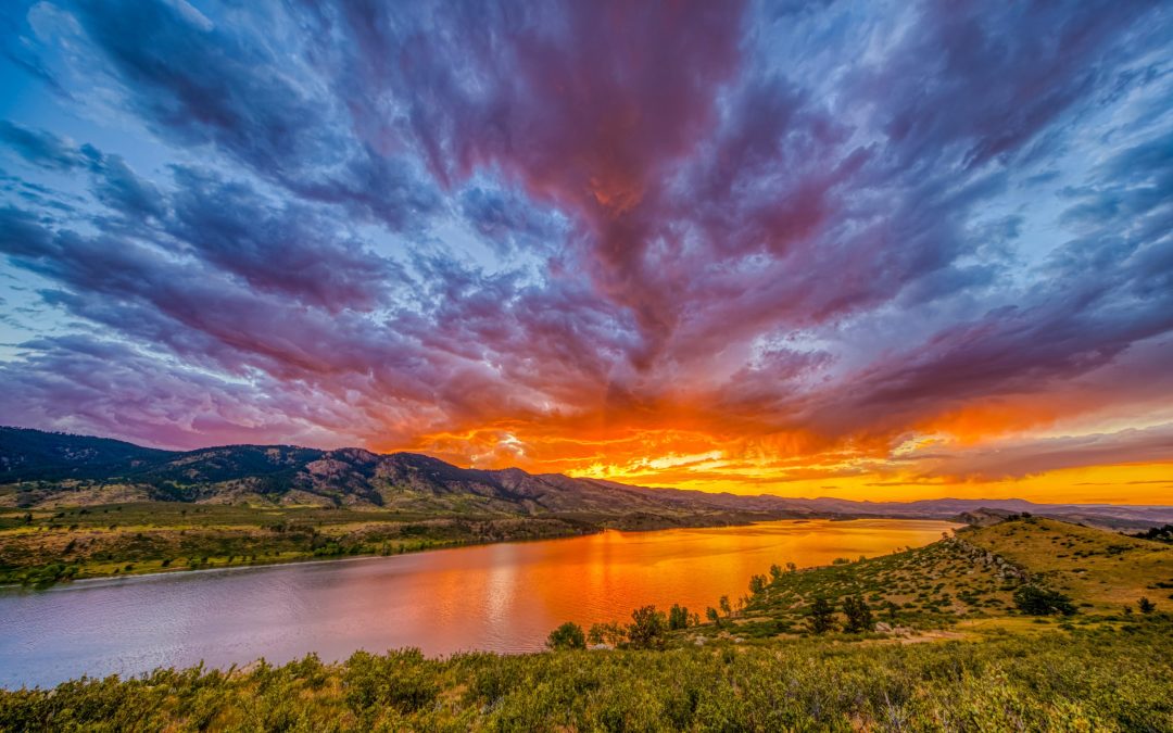 NoCo Newsletter | July 11, 2024