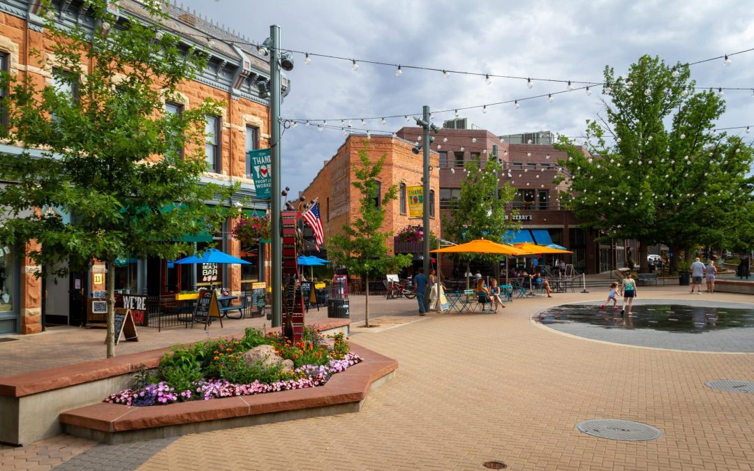 NoCo Newsletter | June 13, 2024