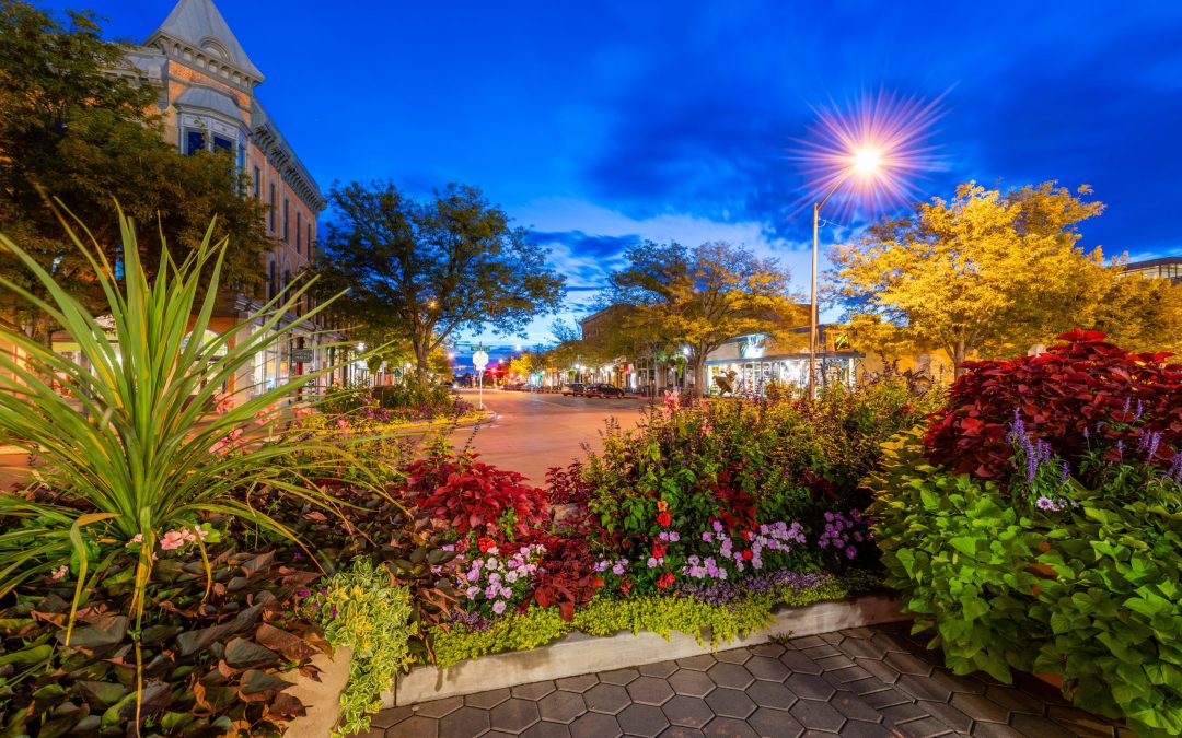 NoCo Newsletter | July 25, 2024
