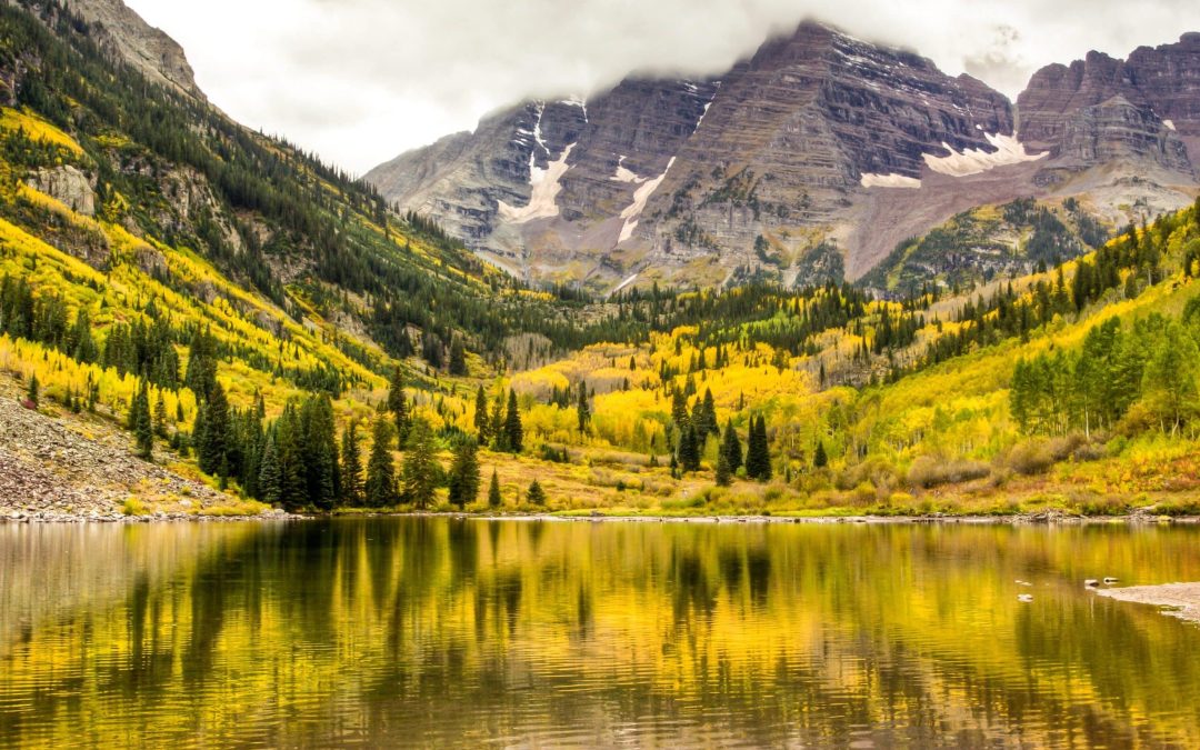 NoCo Newsletter | August 22, 2024