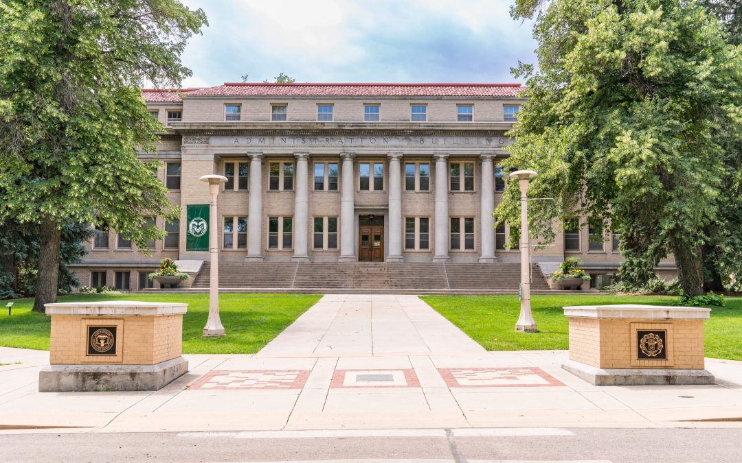 NoCo Newsletter | October 10, 2024